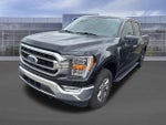 2023 F-150 Thumbnail 4