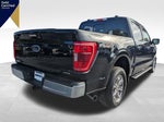 2023 F-150 Thumbnail 6