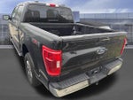 2023 F-150 Thumbnail 9