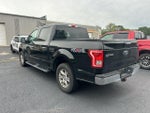 2017 F-150 Thumbnail 7