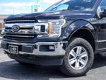2019 F-150 Thumbnail 2
