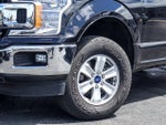2019 F-150 Thumbnail 3
