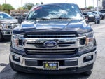 2019 F-150 Thumbnail 4