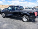 2019 F-150 Thumbnail 5