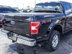 2019 F-150 Thumbnail 7