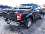 2019 F-150 Thumbnail 8