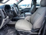2019 F-150 Thumbnail 10