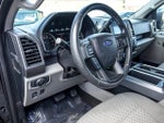 2019 F-150 Thumbnail 11