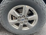 2019 F-150 Thumbnail 5