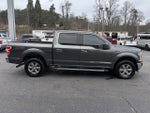 2019 F-150 Thumbnail 5