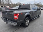 2019 F-150 Thumbnail 6