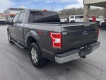 2019 F-150 Thumbnail 8