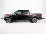 2019 F-150 Thumbnail 3