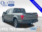 2019 F-150 Thumbnail 3