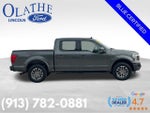 2019 F-150 Thumbnail 6