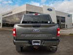 2019 F-150 Thumbnail 4