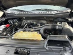2019 F-150 Thumbnail 11
