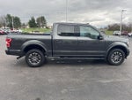 2019 F-150 Thumbnail 3