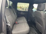 2019 F-150 Thumbnail 7