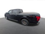 2019 F-150 Thumbnail 2