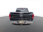 2019 F-150 Thumbnail 4