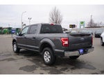 2019 F-150 Thumbnail 5