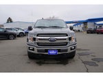 2019 F-150 Thumbnail 8
