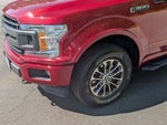 2019 F-150 Thumbnail 9