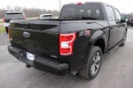 2019 F-150 Thumbnail 12