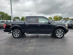 2019 F-150 Thumbnail 3