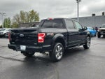 2019 F-150 Thumbnail 4