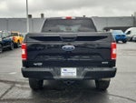2019 F-150 Thumbnail 5