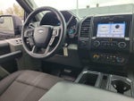 2019 F-150 Thumbnail 13