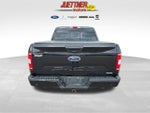 2019 F-150 Thumbnail 4