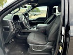 2019 F-150 Thumbnail 9