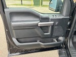 2019 F-150 Thumbnail 10