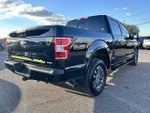 2019 F-150 Thumbnail 5