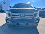 2019 F-150 Thumbnail 8