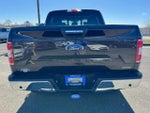 2019 F-150 Thumbnail 4