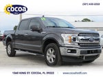 2019 F-150 Thumbnail 1
