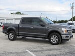 2019 F-150 Thumbnail 2
