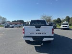 2019 F-150 Thumbnail 5