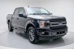 2019 F-150 Thumbnail 3