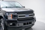 2019 F-150 Thumbnail 4