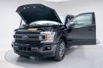 2019 F-150 Thumbnail 17