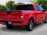2020 F-150 Thumbnail 12
