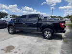2021 F-150 Thumbnail 5