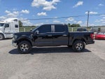 2021 F-150 Thumbnail 6