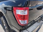 2021 F-150 Thumbnail 10