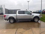 2021 F-150 Thumbnail 4